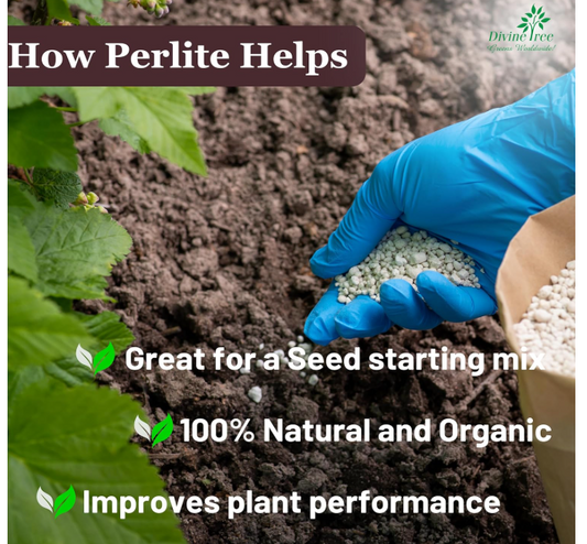 Organic Pot Mix – 500gm | Premium Soil Blend for Healthier, Faster Plant Growth 🌱